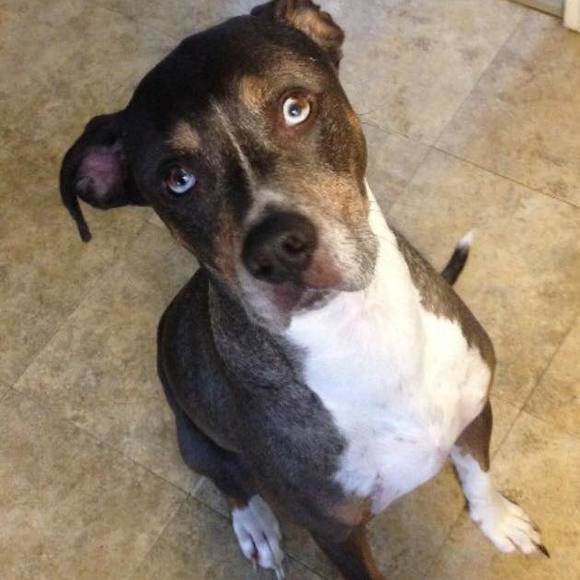 Meet your Posher, Ryan - Picture 1 of 1